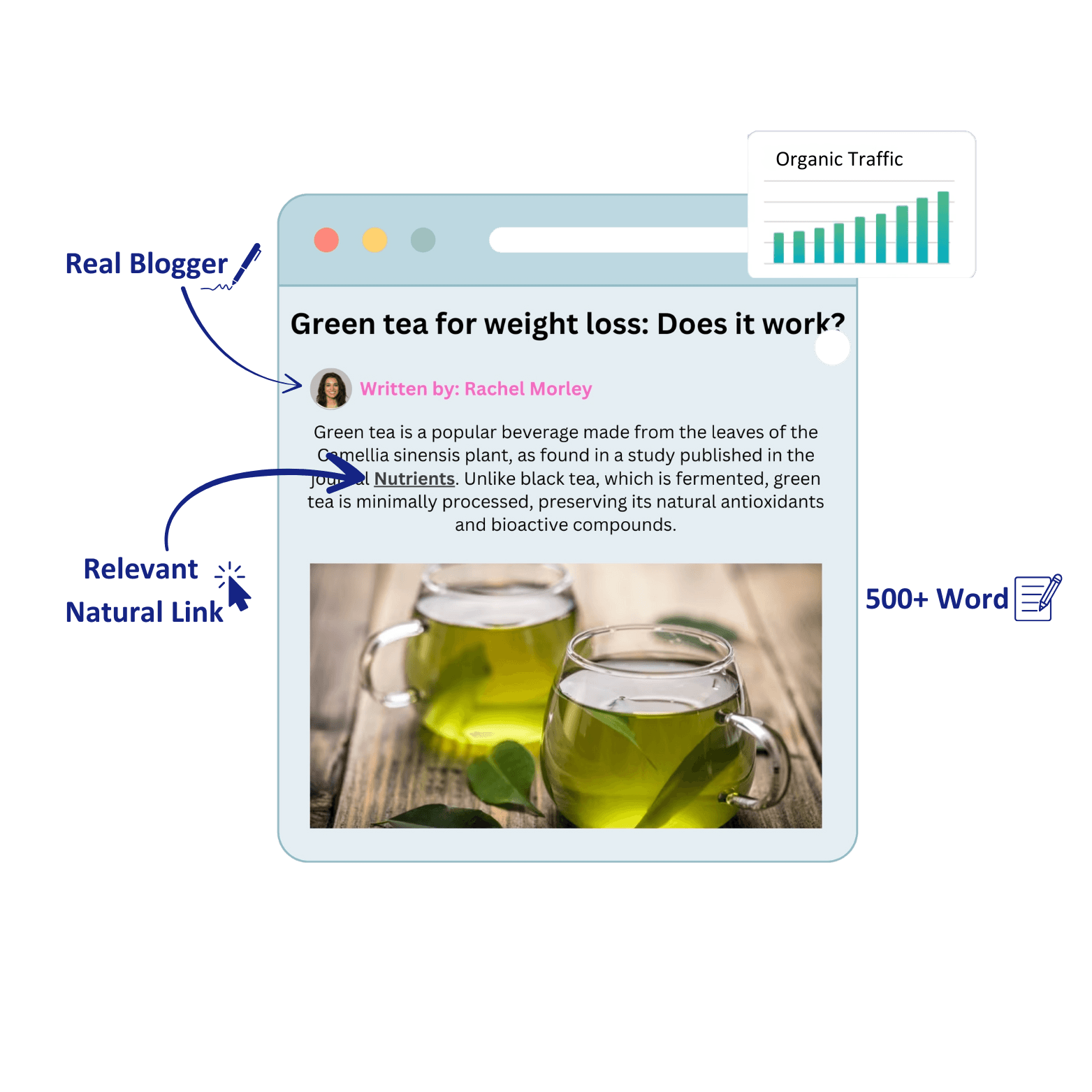 Blogger Outreach