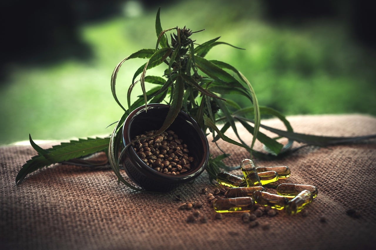 CBD Business SEO Case Study: 1,900% Traffic Growth