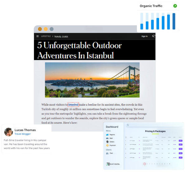 Blogger Outreach service